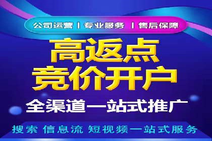 某知名品牌SEM广告投放的创意与执行